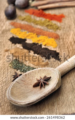 bands of different spices powder, anise  in  spoon on wood background