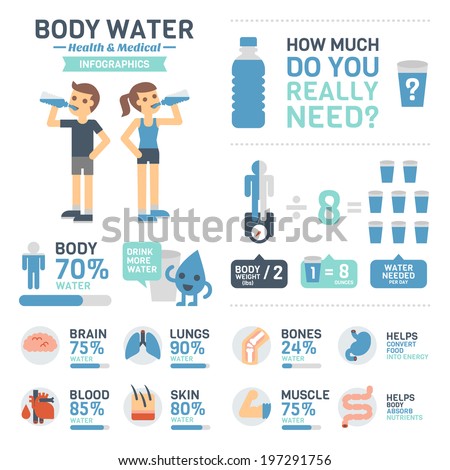 Body Water Infographics Stock Vector Illustration 197291756 : Shutterstock