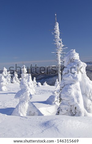 Winter view of snow covered mountains and trees with blue sky in the background (Mountains Jeseniky, Czech Republic)
