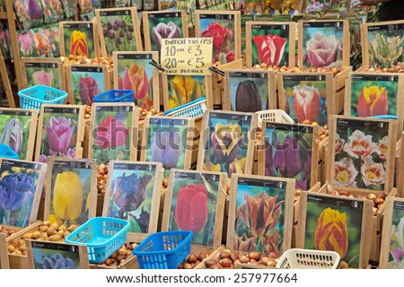 AMSTERDAM- JUNE 25: At  Flower market you will find there all sorts of tulips, narcissus and other bulbs and flowers. The bulbs are ready for export. June 25,  2014  in Amsterdam