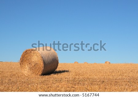 Bale of hay in a field on a hot sunny summer day