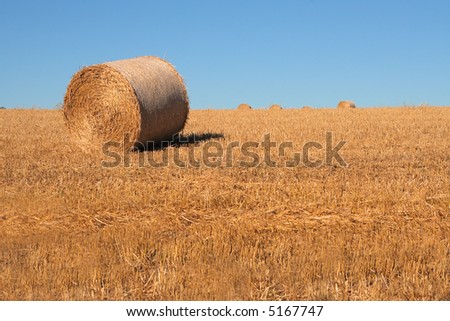 Bale of hay in a field on a hot sunny summer day