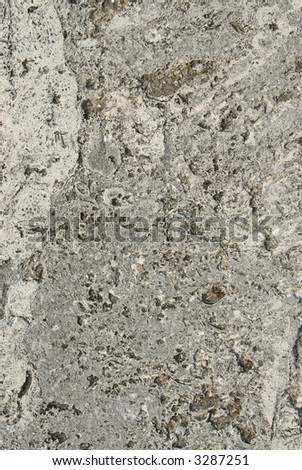 Sea coral background fossil ocean texture -- series 02