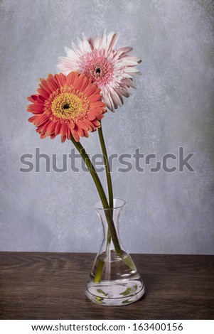 Beautiful pink  and orange gerber daisies in clear vase