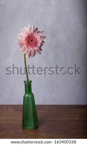 Beautiful pink gerber daisy in green vase