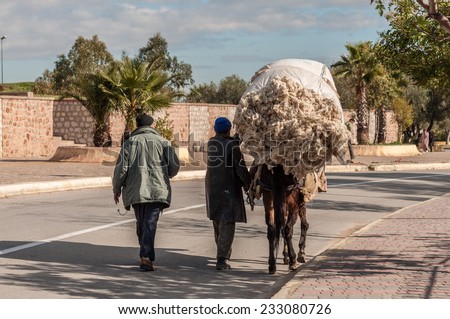 FEZ, MOROCCO - DEC 3: Donkey - a typical means of transport in Morocco. December 3, 2008 in Fez, Morocco, Africa