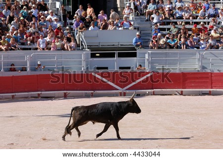 Bullfight in the old Roman Arena in Arles, France
