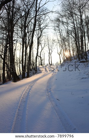 Mountain winter road in the forest; vertical orientation