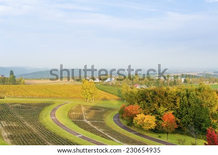 autumn landscape with cloudy sky and field in hokkaido, japan