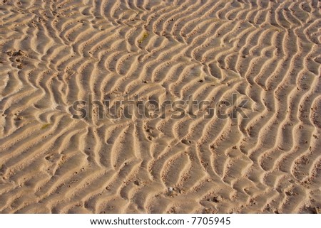 rippled sand dune face with tracks