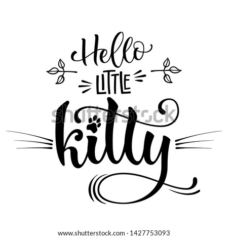 Hello little kitty quote. Baby shower hand drawn calligraphy style lettering phrase. Boho elements, whiskers, kitten foot print decor. Boy, girl card, poster, print, stiker, shirt design.