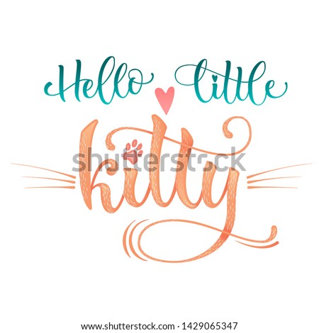 Hello little kitty quote. Color baby shower hand drawn calligraphy style lettering phrase. Boho elements, whiskers decor. Boy, girl card, poster, print, stiker, shirt design.