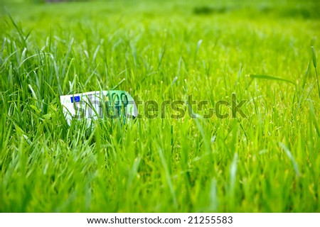 Growing money in green grass lawn
