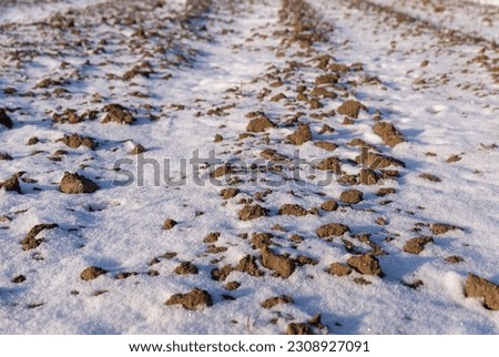 Similar – Image, Stock Photo Field with winter sowing