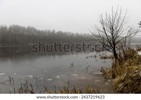 Similar – Image, Stock Photo Frosted bank of river with bare trees