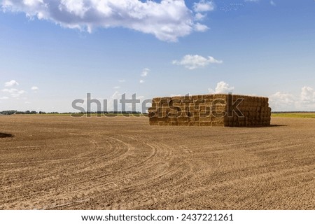 Similar – Image, Stock Photo Hay bales on field during a lightning storm. Dark and stormy landscape