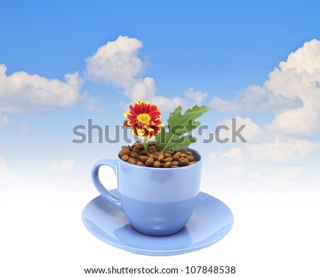 Fresh flowers in a blue coffee mug