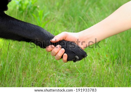 dog paw child\'s hand friendship