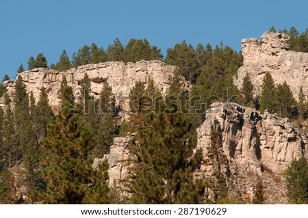 Cliffs and pine trees in Spearfish Canyon in Black Hills National Park, South Dakota