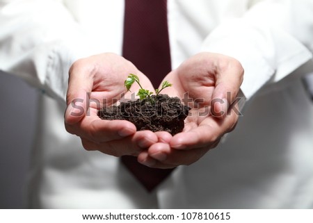 Photo of human hands holding little sprout with care