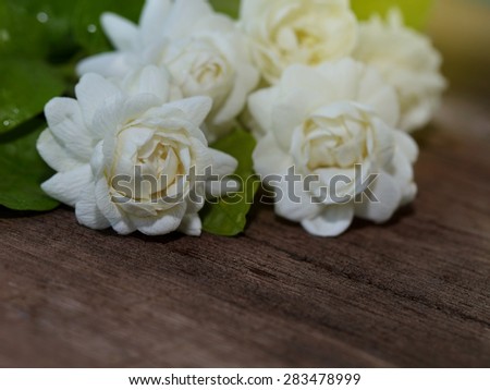Tropical jasmine flower on wood.Jasmine flowers and leaves on brown wooden table.