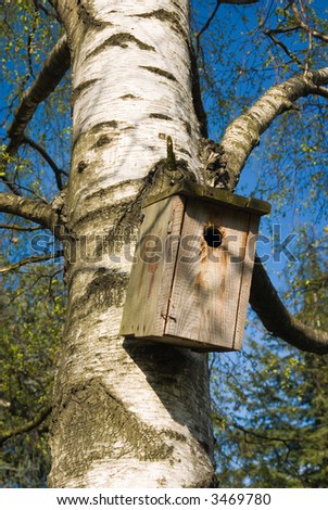 Hanged nest box on birch tree against blue sky