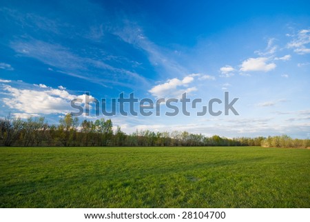 Meadow and blue cloudy sky (can be used how background)