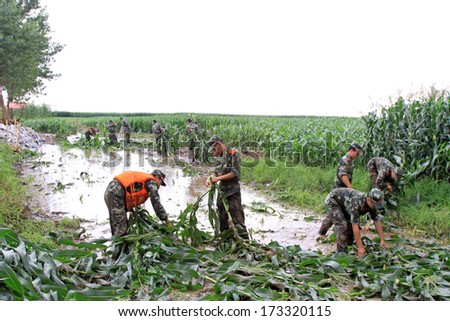 Luannan, August 4: Chinese armed police soldiers cleaning crops control flood on August 4, 2012, Luannan, Hebei, China.