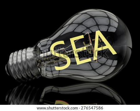 SEA - Search Engine Advertising - lightbulb on black background with text in it. 3d render illustration.