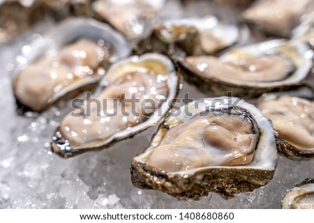 Similar – Image, Stock Photo Fresh oysters with lemons in restaurant