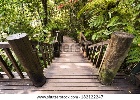Wooden stairs through tropical forest