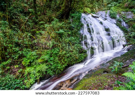 Kew Mae Pan, Waterfall in hill evergreen forest of Doi Inthanon national park, Thailand
