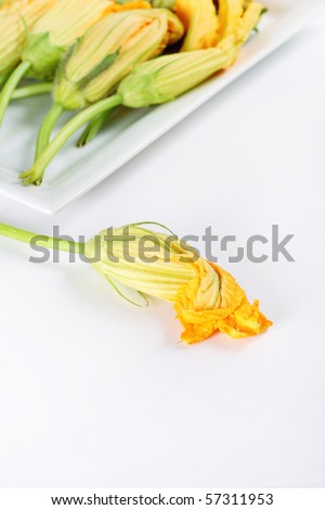 orange squash blossoms on white vertical