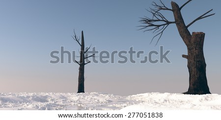 burnt trees on snowy terrain