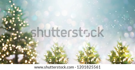 Similar – Image, Stock Photo christmas tree, defocused