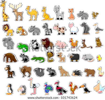 Large Set Of Animals Stock Vector Illustration 101743624 : Shutterstock