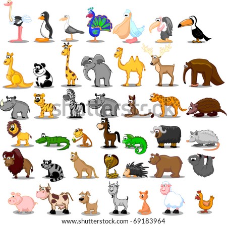 Extra large set of animals including lion, kangaroo, giraffe, elephant, camel, antelope, hippo, tiger, zebra, rhinoceros