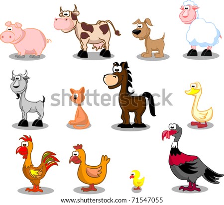 Set Pet Farm Stock Photo 71547055 : Shutterstock