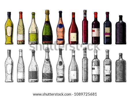 Vector hand drawn illustration of Wine Bottles in vintage engraved style. Color and black-and-white versions.