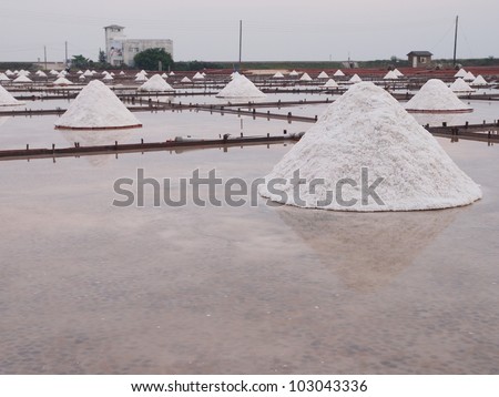 Row of salt piles to be harvested by farmers