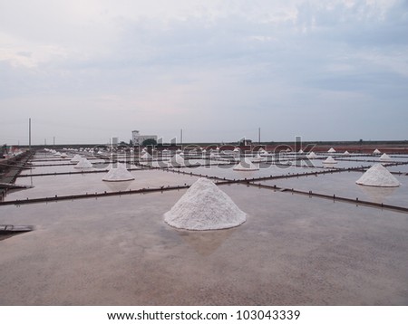 Row of salt piles to be harvested by farmers