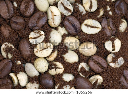 Three stages of the coffee bean Texture