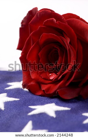 A lone red rose lying on top of a folded American flag. A single tear drop falls from the rose. I miss my daddyâ€¦.my hero.