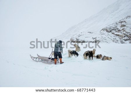 Dog sledging trip in cold snowy winter, running dogs,Kulusuk village,Greenland