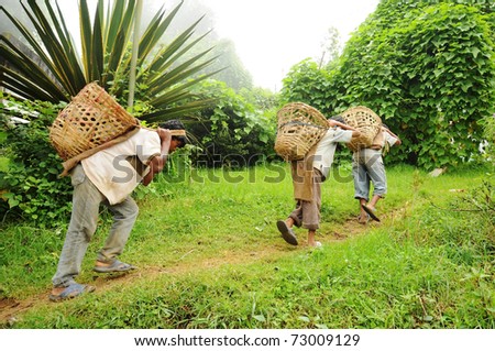 DARJEELING, INDIA - AUGUST 16: Unidentified young boys work hard as porters instead going to school on August 16, 2010. Child\'s work is a global problem. INDIA