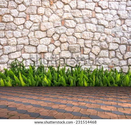 Stone wall and fox-tail on Cement brick floor interior modern style, Template for product display