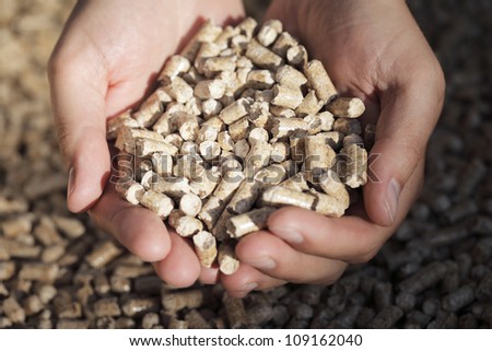 Alternative fuel: Pellets made from industrial wood waste. Short depth-of-field.