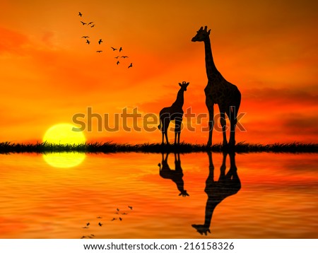 Silhouettes of two giraffes with reflection in lake water against African sunset
