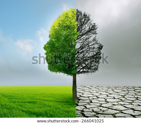 Human emotion and mood disorder as a tree shaped as two human faces with one half empty branches and the opposite side full of leaves as a medical metaphor for psychological contrast in feelings