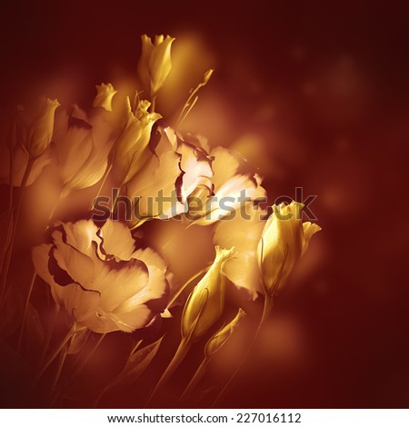 Bouquet of delicate roses, floral background